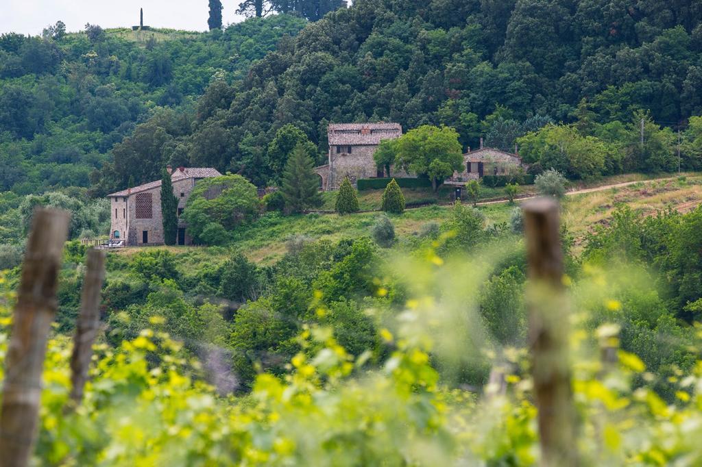 Apartamento L'Aiolina Vagliagli Exterior foto
